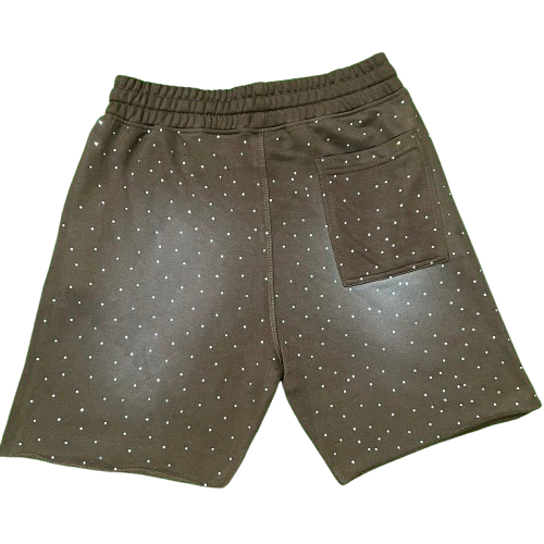 Brown Athletic Department Shorts